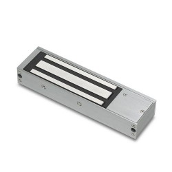 10010 Standard Magnet